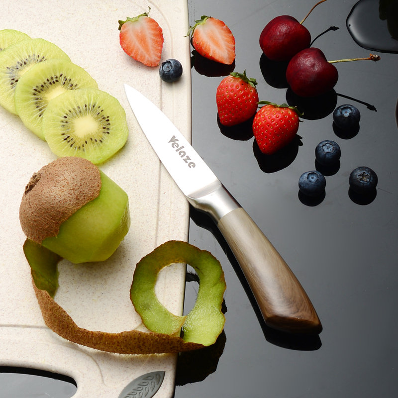 Velaze 8 Piece Stainless Steel Knife Block Set & Reviews Wayfair